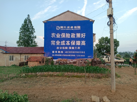 昌宁墙体广告为何受追捧？