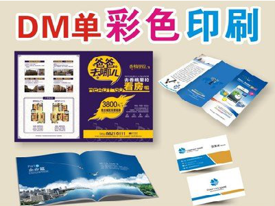 昌宁单页印刷，色彩搭配简单。